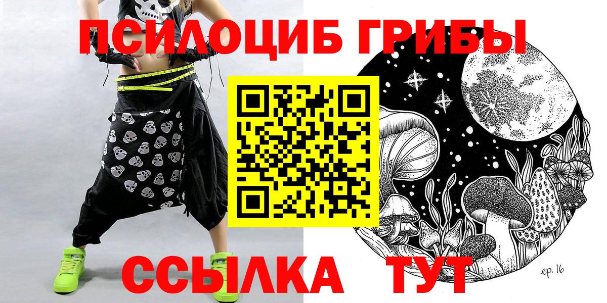 Галлюциногенные грибы Psilocybine cubensis Бугуруслан